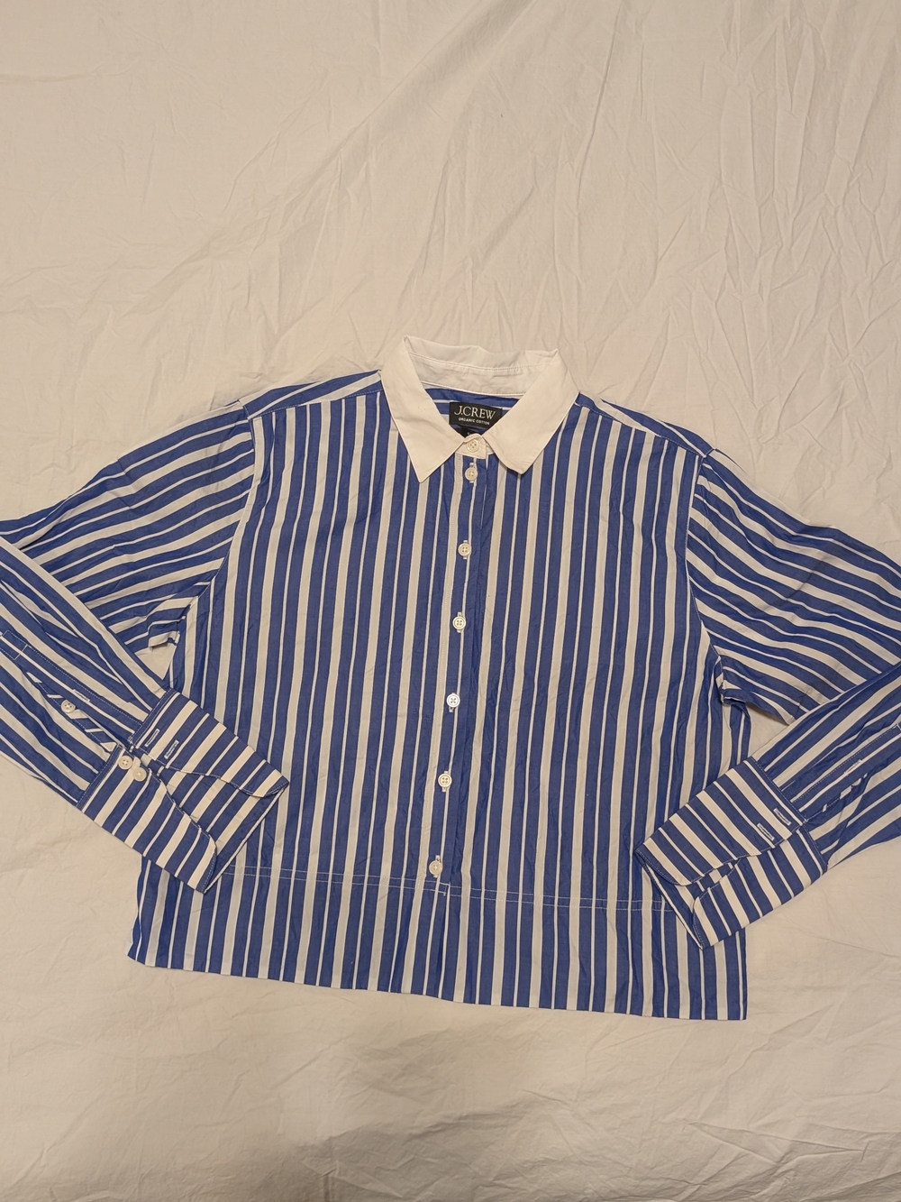 J. Crew Blue and White Vertical Stripe Button-Down Shirt